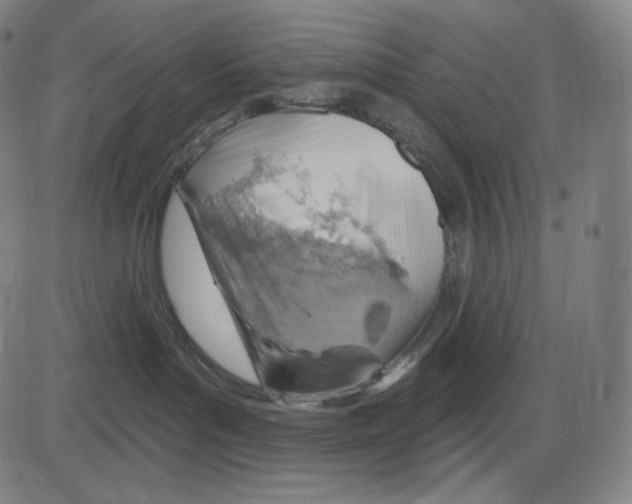 X0000083970143200703161541