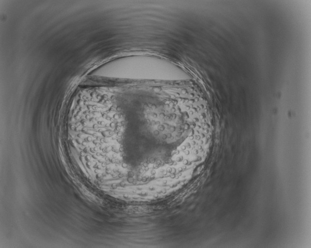 X0000083970145200703161540