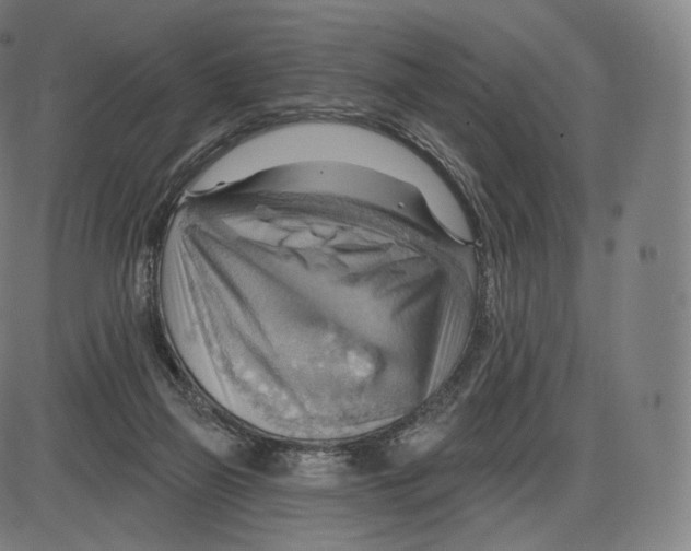 X0000083970165200703161540