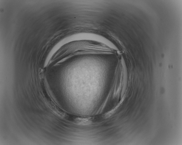 X0000083970170200703161540