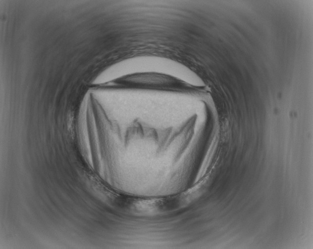 X0000083970178200703161541