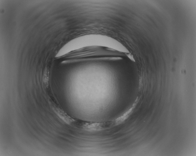 X0000083970186200703161541