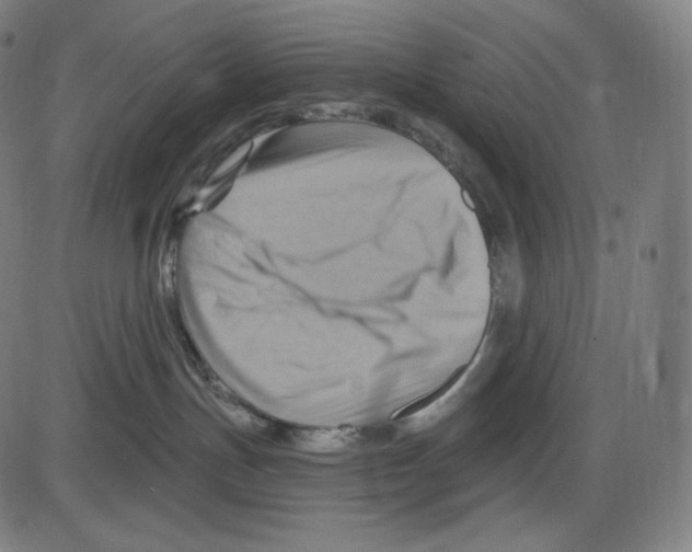 X0000083970191200703161541