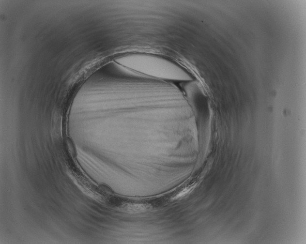 X0000083970205200703161540
