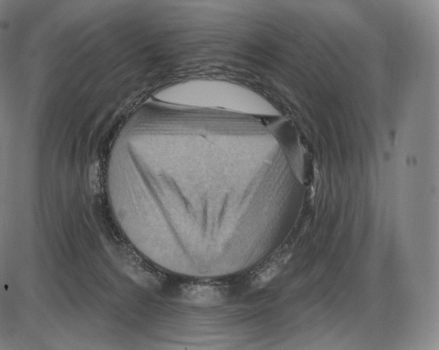 X0000083970224200703161539