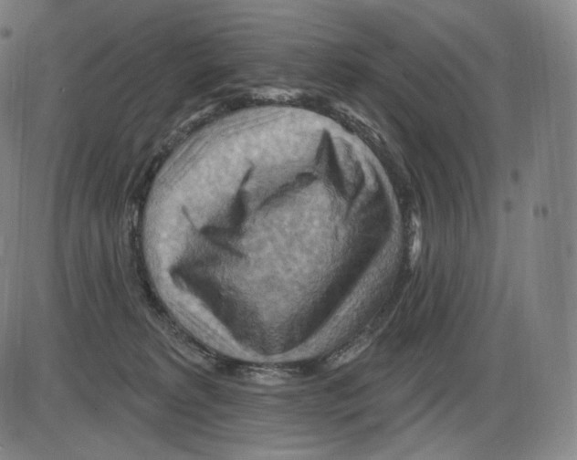 X0000083970229200703161539