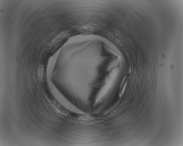 X0000083970231200703161539
