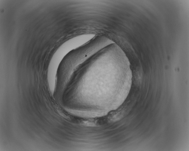 X0000083970232200703161539