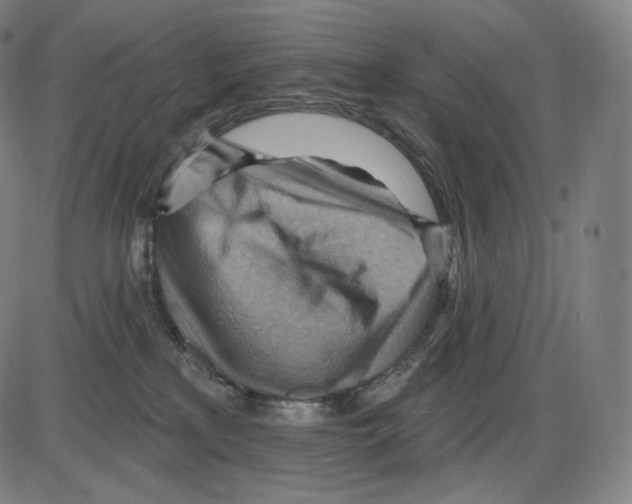 X0000083970233200703161539