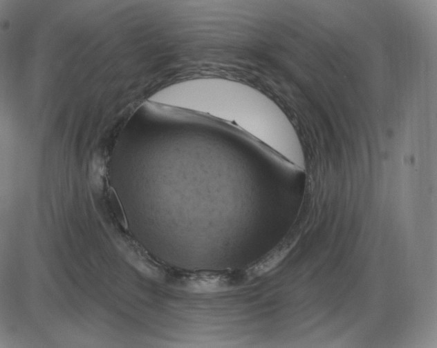 X0000083970235200703161539