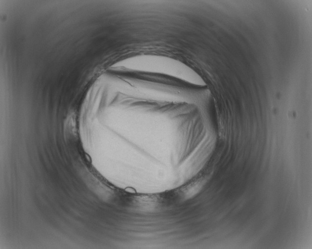X0000083970238200703161539