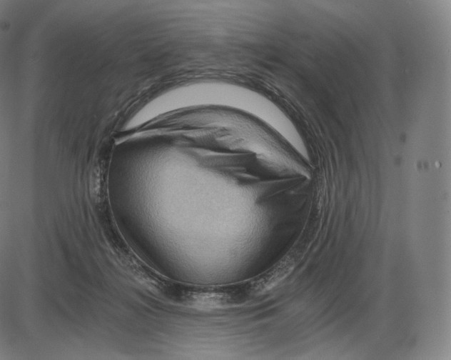 X0000083970268200703161539
