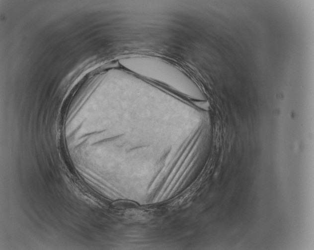 X0000083970290200703161538