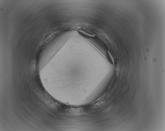X0000083970314200703161538