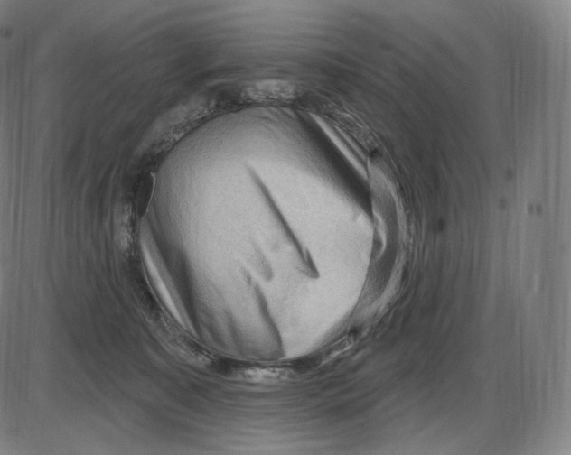X0000083970323200703161538