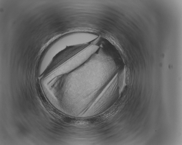 X0000083970348200703161537