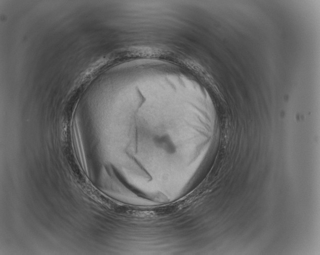 X0000083970355200703161537