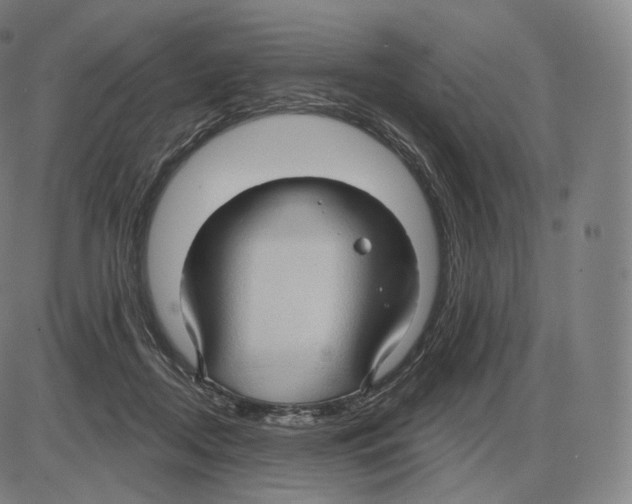 X0000083970362200703161537