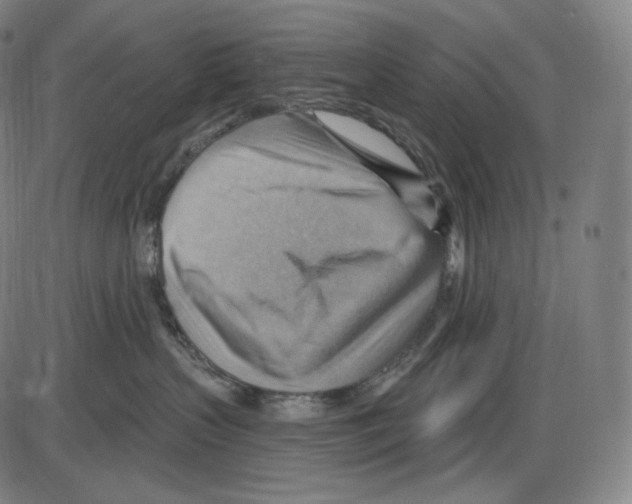 X0000083970383200703161538