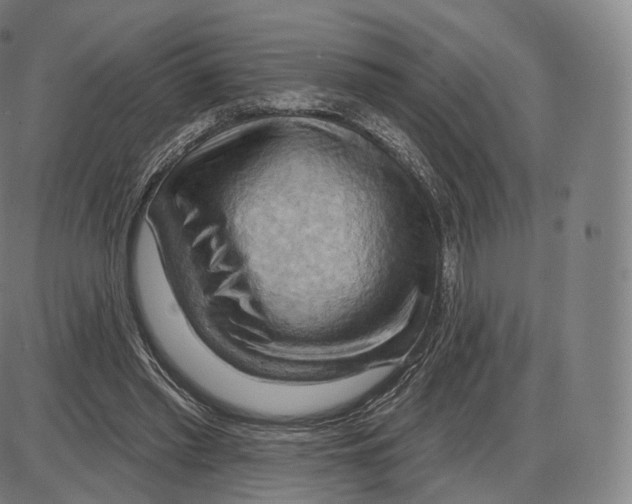 X0000083970397200703161537