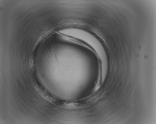X0000083970407200703161536