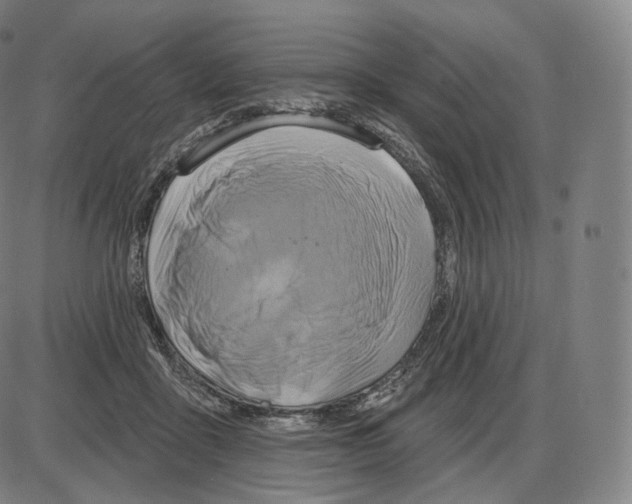 X0000083970411200703161536