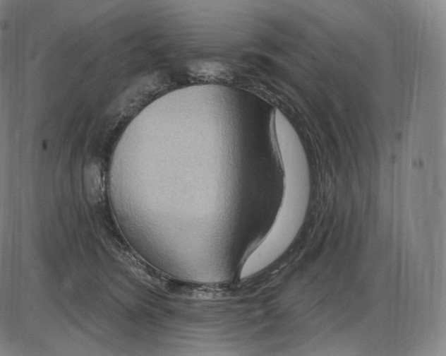X0000083970420200703161536