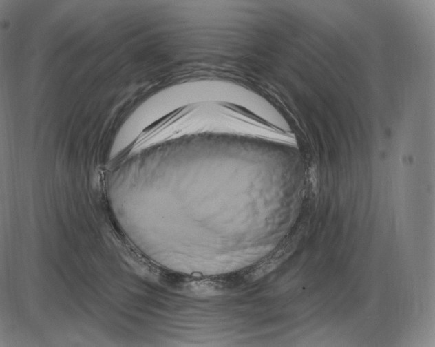 X0000083970423200703161536