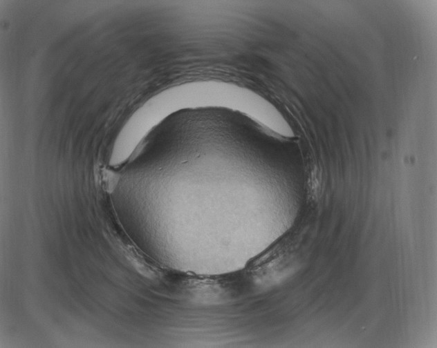 X0000083970424200703161536