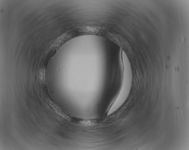 X0000083970425200703161536