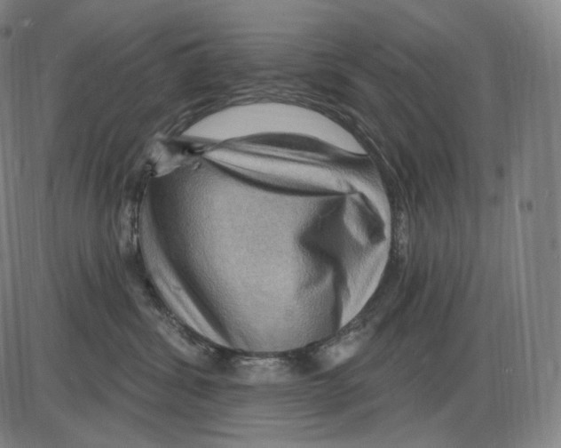 X0000083970428200703161536