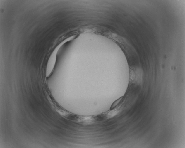 X0000083970431200703161536