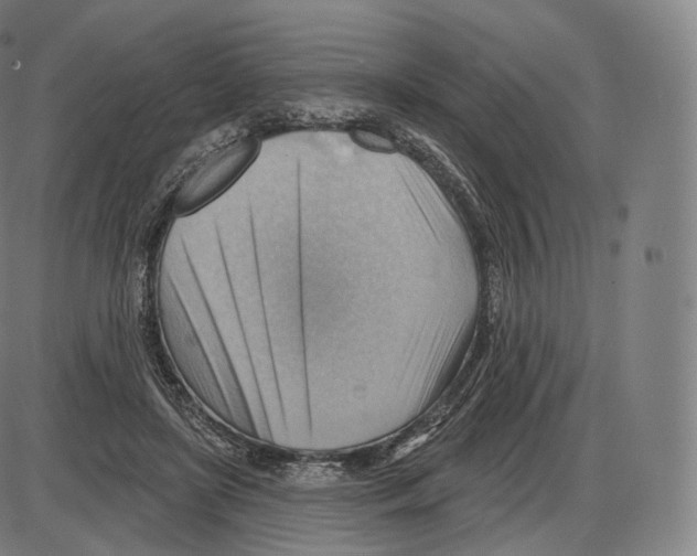 X0000083970451200703161535