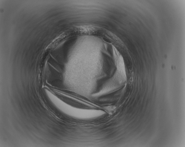 X0000083970456200703161536