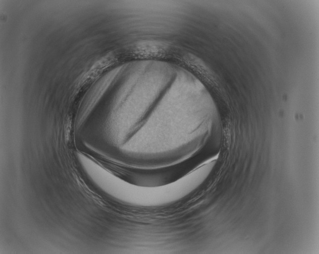 X0000083970458200703161536