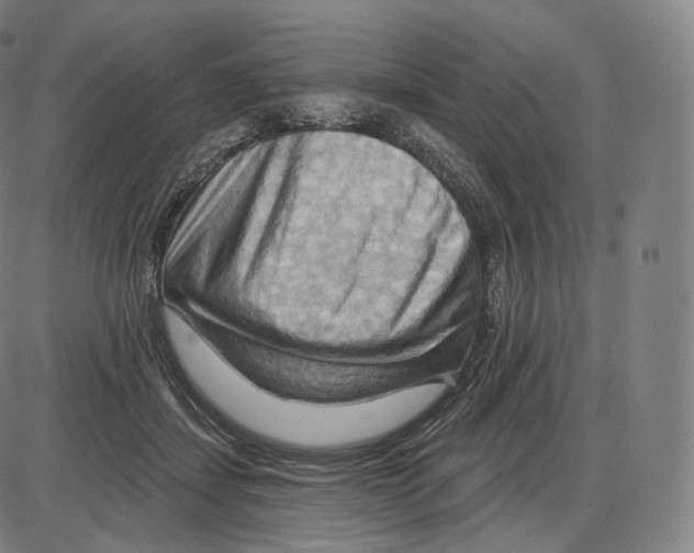 X0000083970459200703161536