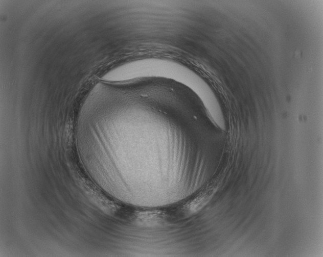 X0000083970461200703161536