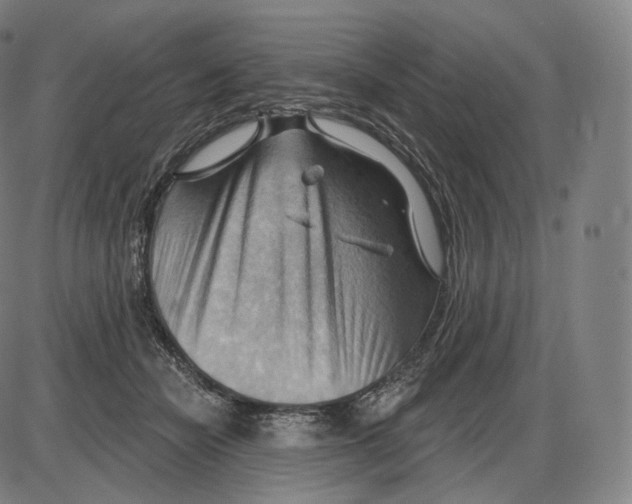 X0000083970462200703161536