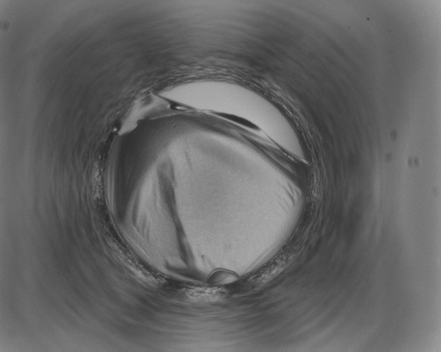 X0000083970465200703161536