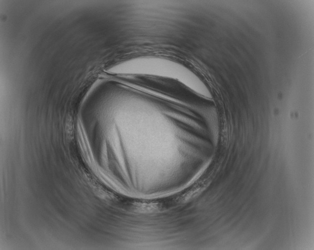 X0000083970469200703161536