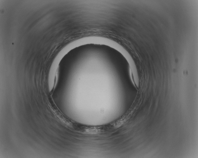 X0000083970470200703161536
