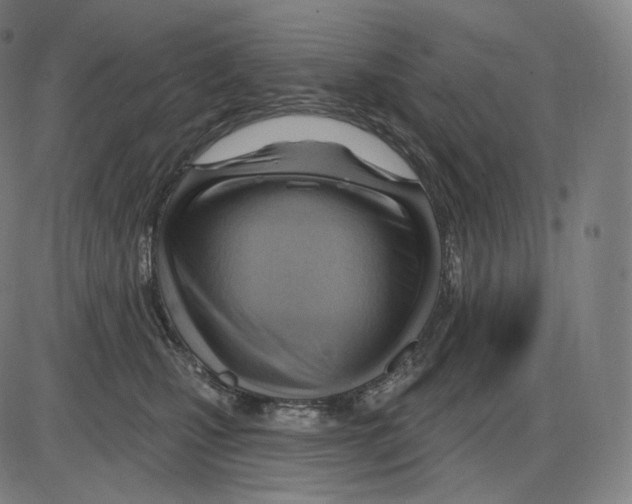 X0000083970471200703161536