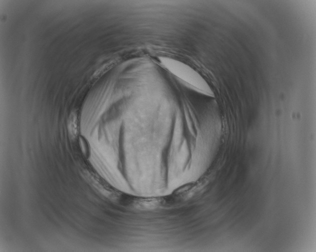 X0000083970479200703161536