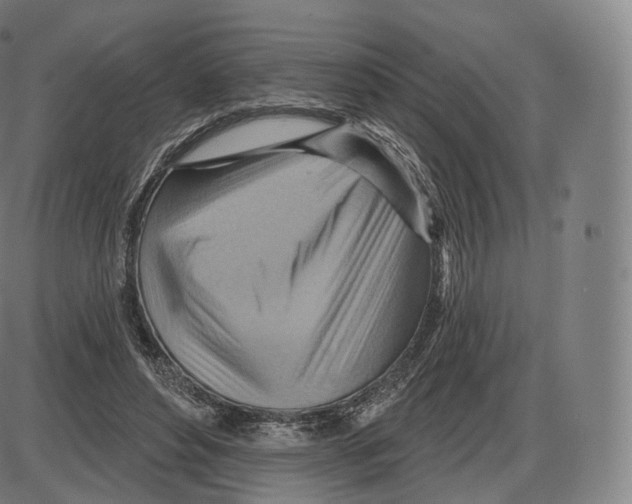 X0000083970496200703161535