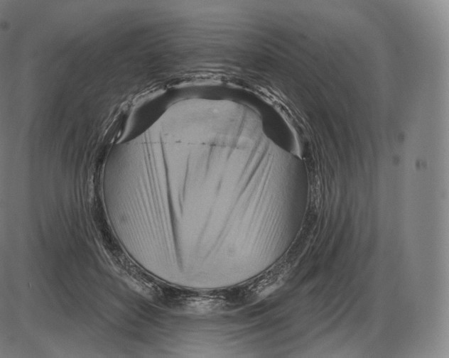 X0000083970504200703161535