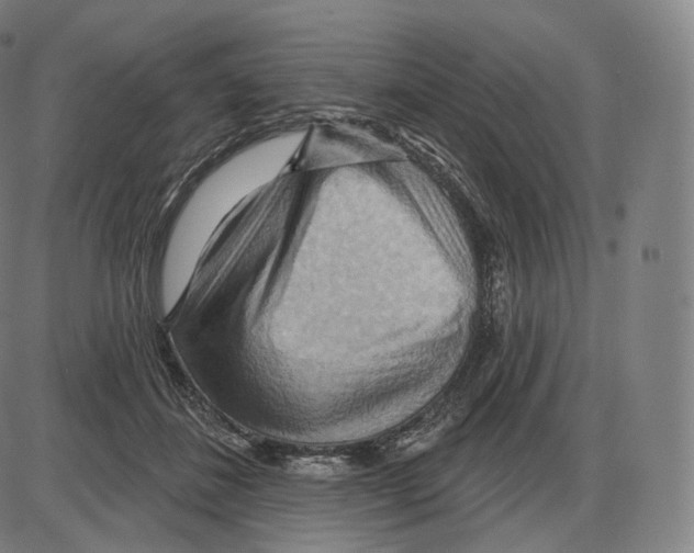 X0000083970508200703161535