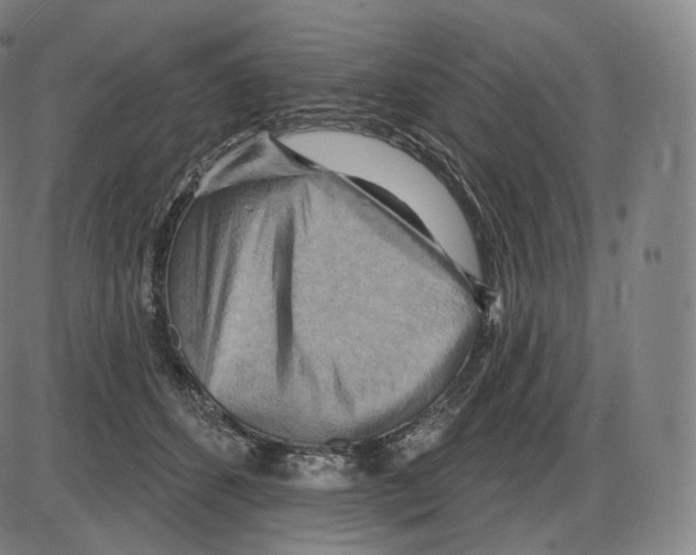 X0000083970512200703161535
