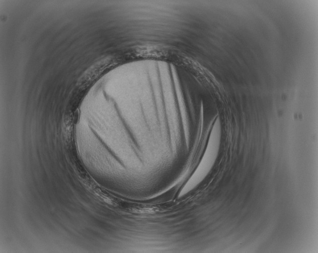 X0000083970513200703161535