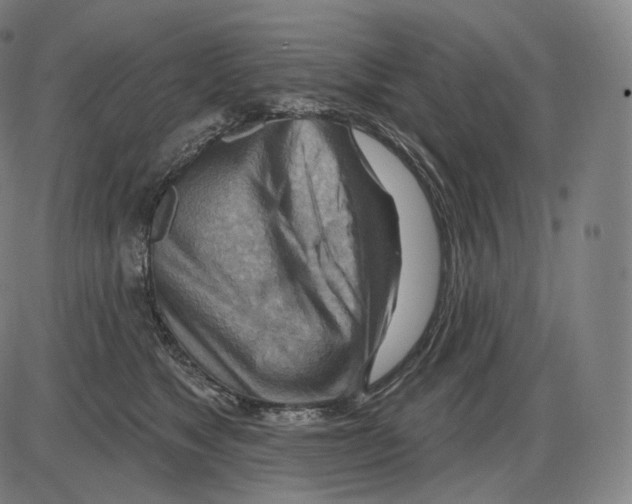 X0000083970517200703161534