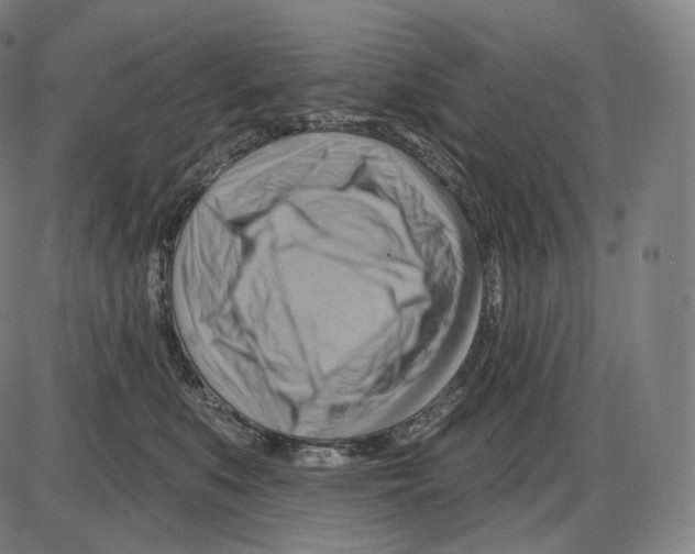 X0000083970519200703161534